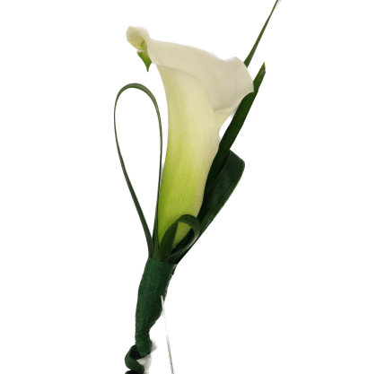 White Cala-Lily Boutonniere