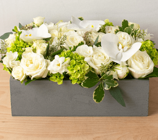 White and Greens box