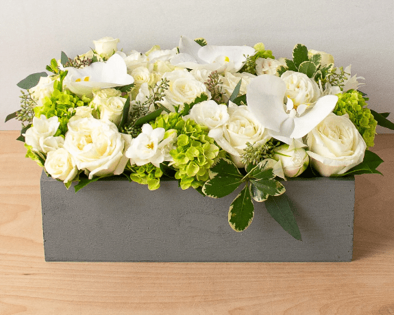 White and Greens box