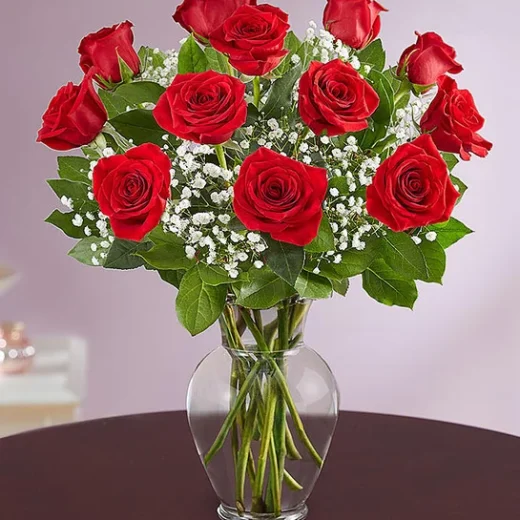 12 Classic Red Roses