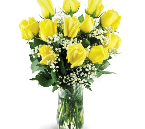 Classic Yellow Roses