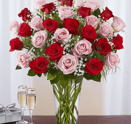 Elegant Ultimate Elegance Long Stem Pink & Red Roses