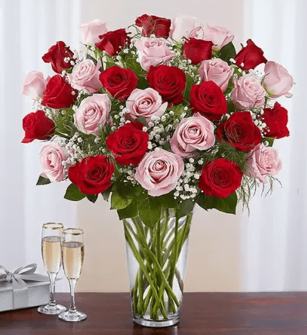 Elegant Ultimate Elegance Long Stem Pink & Red Roses