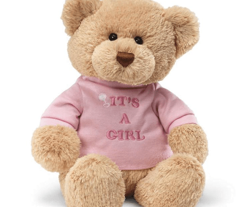 It`s a Girl` Bear, Pink, 12 in