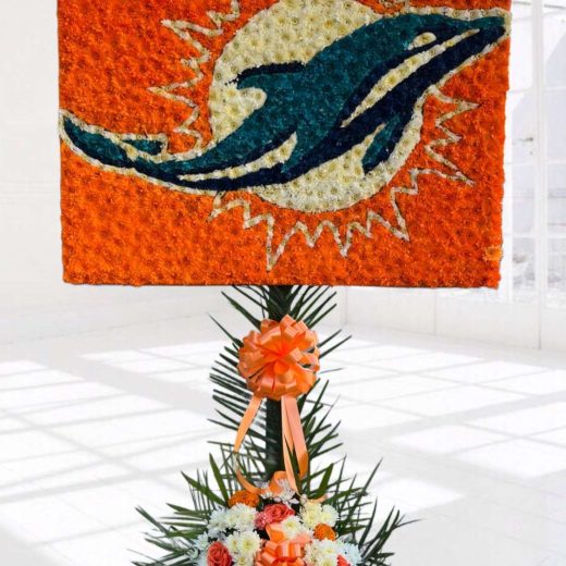 Miami Dolphins