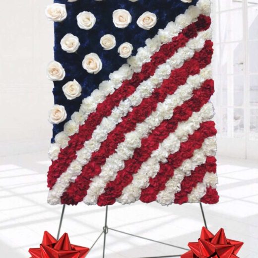 USA flag