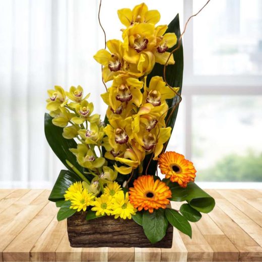 Orchid