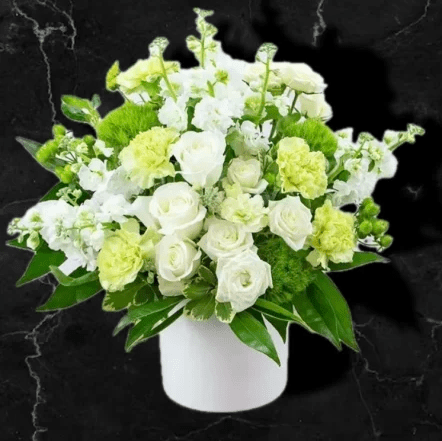 Elegant Saint patrick's Day