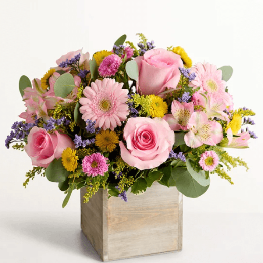 Spring Sentiment