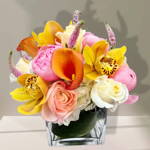 Citrus Bloom Luxe