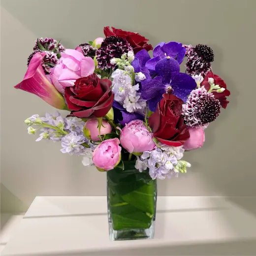 Velvet Bloom Luxe