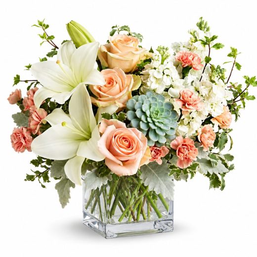 Blush & Bloom Garden