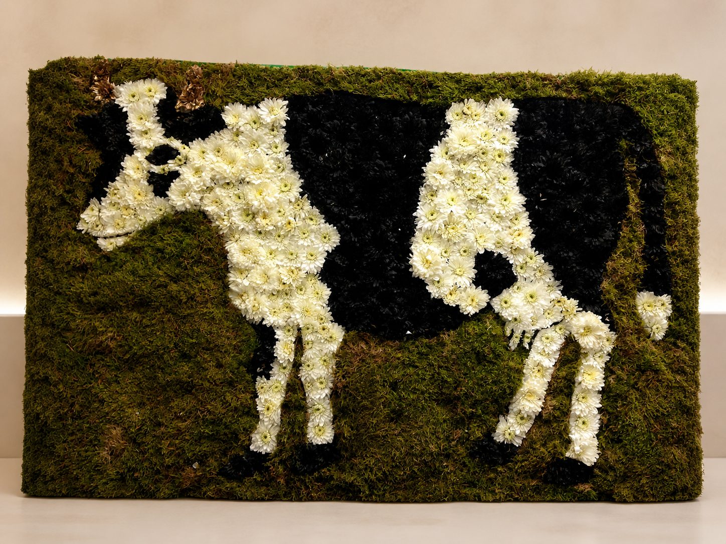 Beloved Cow Tribute