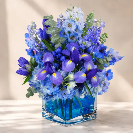 Azure Elegance