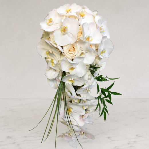 White Orchid Waterfall