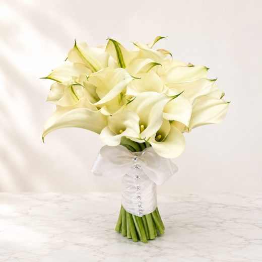 Ivory Calla Elegance