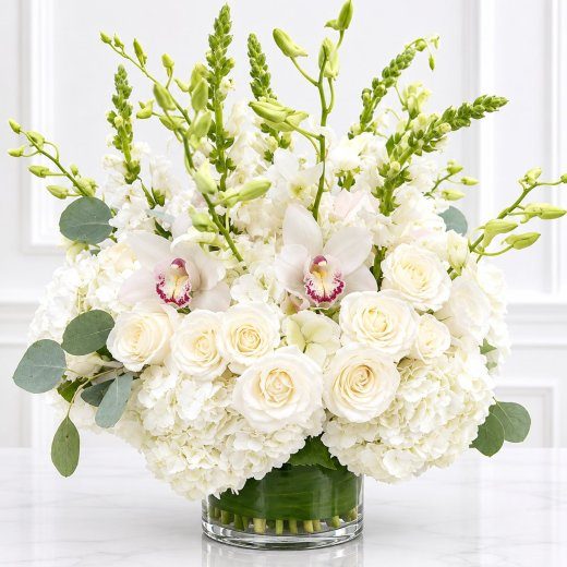 Ivory Orchid Dream