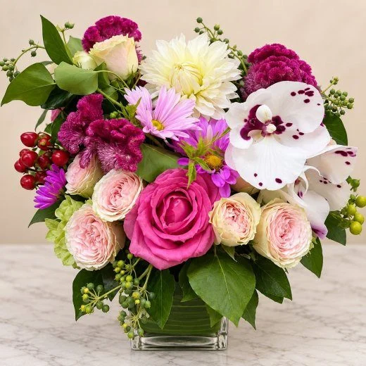 Berry Orchid Bliss
