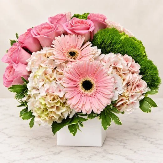 Sweet Pink Serenade