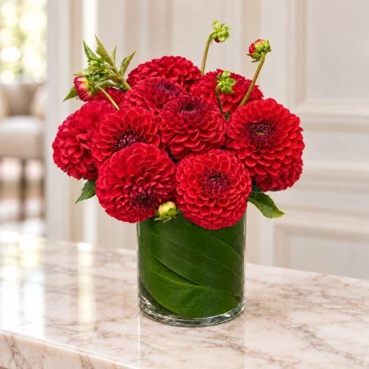 Crimson Dahlia Elegance