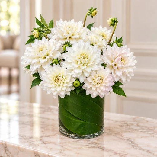 Ivory Grace Dahlia Arrangement