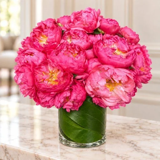 Coral Peony Elegance