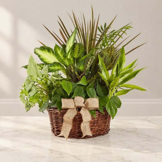 Tropical Garden Basket