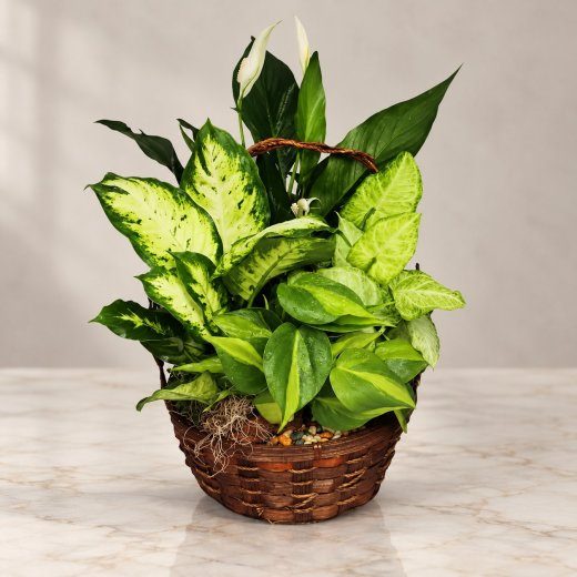 Tropical Haven Basket